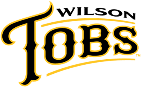 Wilson Tobs 2014-Pres Wordmark Logo iron on transfers for clothing
